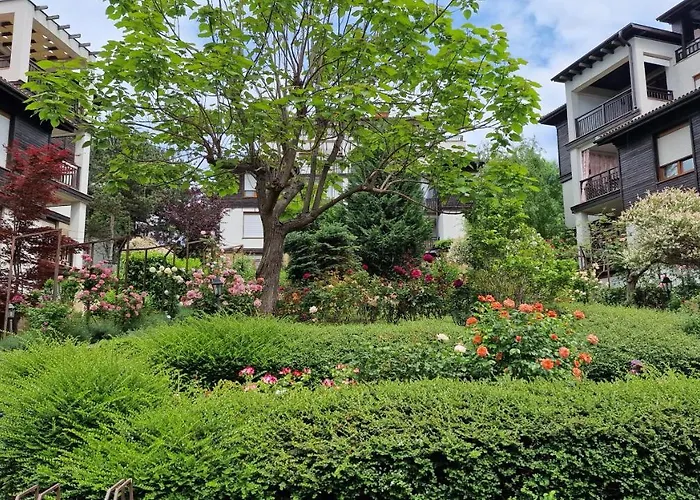 Nevena Summer By Santa Marina